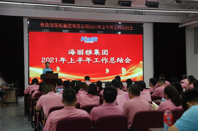 海麗雅集團(tuán) 海麗雅集團(tuán)