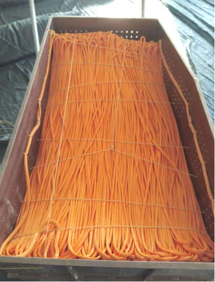 蛟龍?zhí)柼胤N繩纜 蛟龍?zhí)柼胤N繩纜